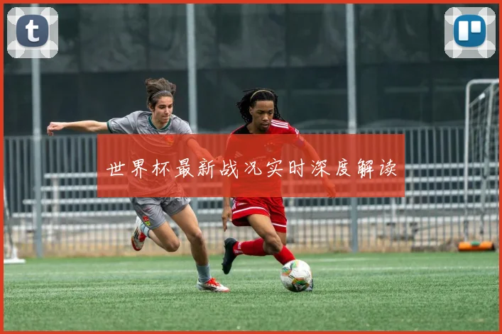 世界杯最新战况实时深度解读