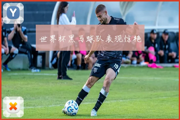 世界杯黑马球队表现惊艳