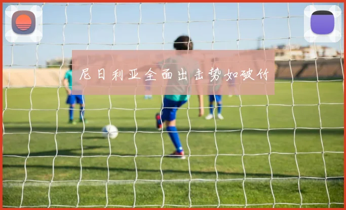 尼日利亚全面出击势如破竹