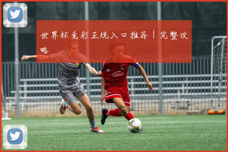 世界杯竞彩正规入口推荐｜完整攻略